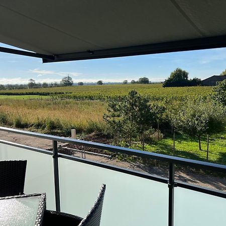 Oasis Tout Confort A Bergheim, Alsace Eksteriør billede